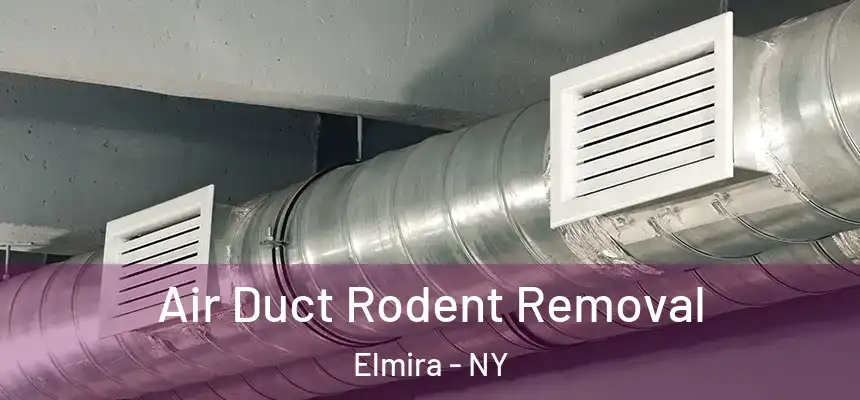 Air Duct Rodent Removal Elmira - NY