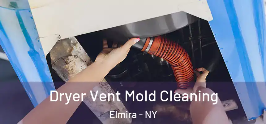 Dryer Vent Mold Cleaning Elmira - NY