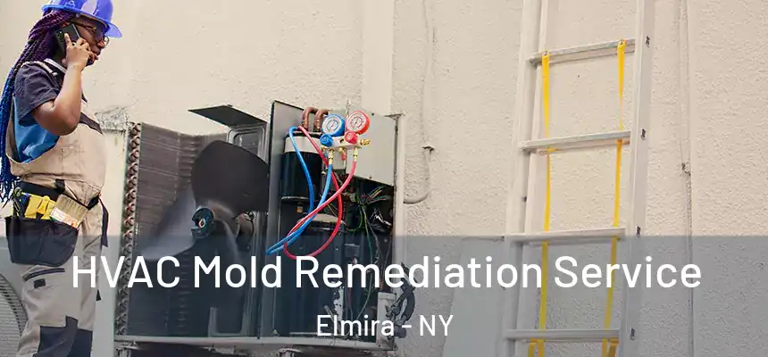  HVAC Mold Remediation Service Elmira - NY
