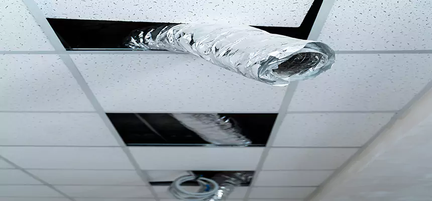 Affordable HVAC Sanitizing After Pest Removal in Elmira