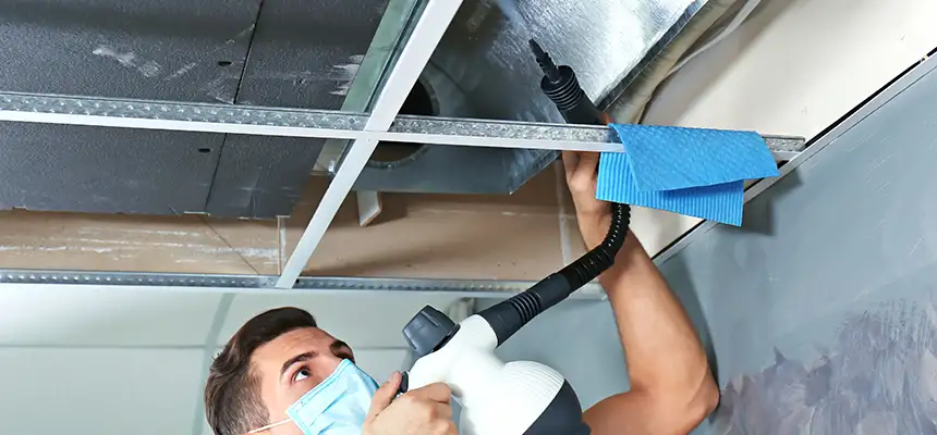 Our Air Duct Rodent Removal Services in Elmira, NY