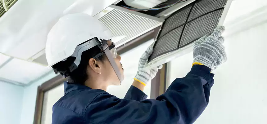 Our Mold & Mildew Removal from Air Ducts Services in Elmira, NY