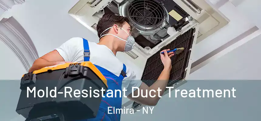  Mold-Resistant Duct Treatment Elmira - NY