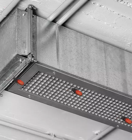 About Air Duct Cockroach Removal in Elmira, NY