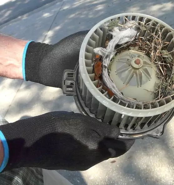 About Air Duct Mice Removal in Elmira, NY