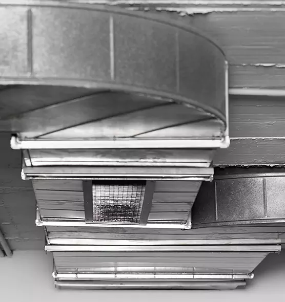 Professional Air Duct Pest Removal in Elmira, NY