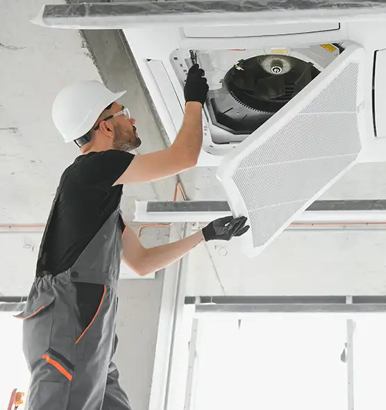 About Air Duct Rodent Removal in Elmira, NY