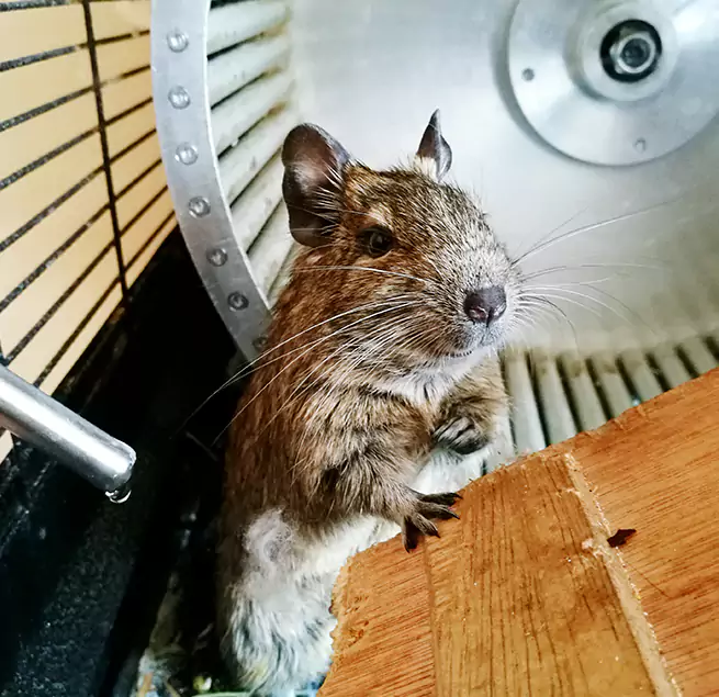 Why Homeowners & Businesses Trust Us Elmira, NY?