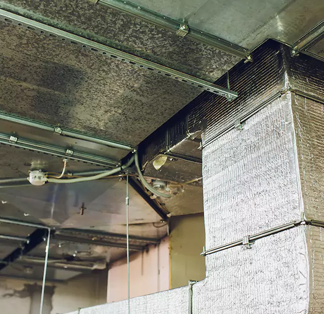 Why Homeowners & Businesses Trust Us in Elmira, NY?